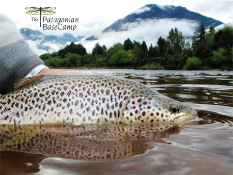 Patagonian Base Camp Trout Humpback-1.jpg